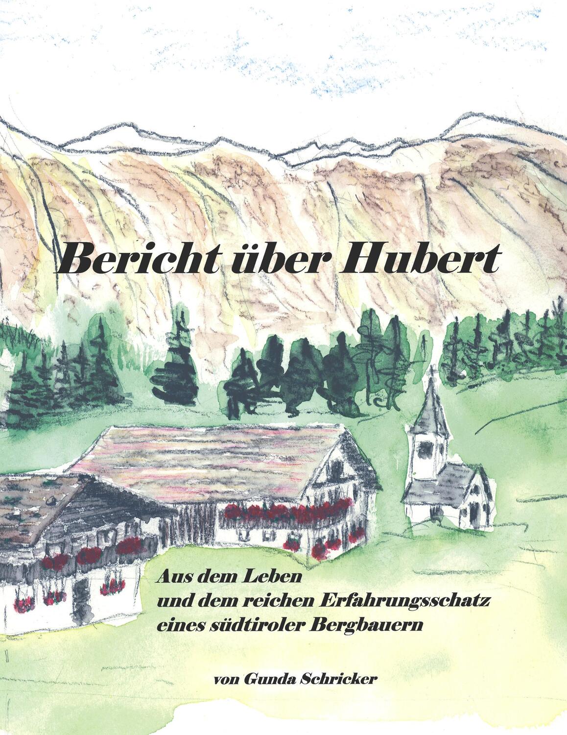 Cover: 9783833006081 | Bericht über Hubert | Gunda Schricker | Taschenbuch | Paperback | 2003