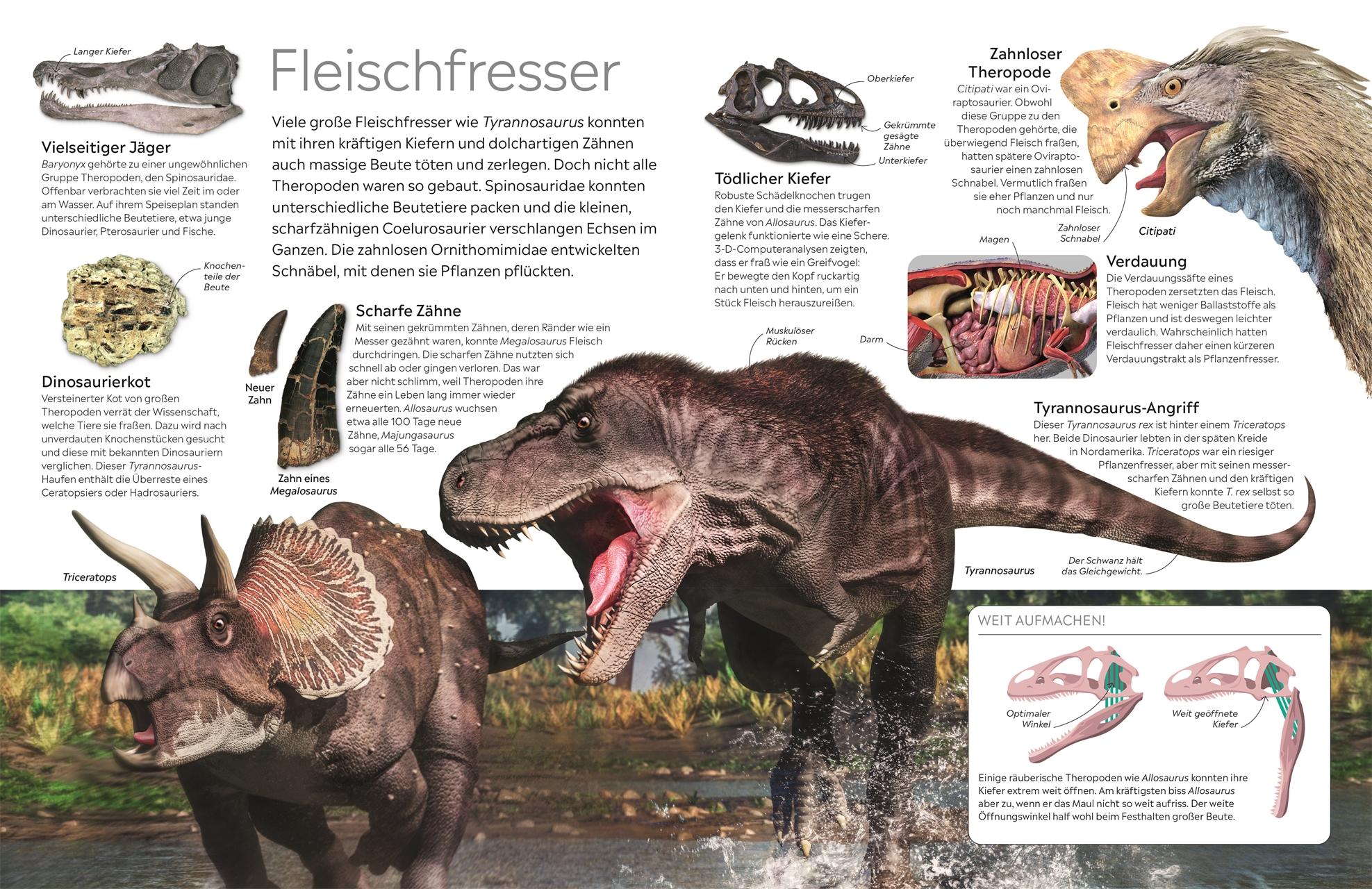 Bild: 9783831049042 | memo Wissen. Dinosaurier | David Lambert | Buch | 72 S. | Deutsch