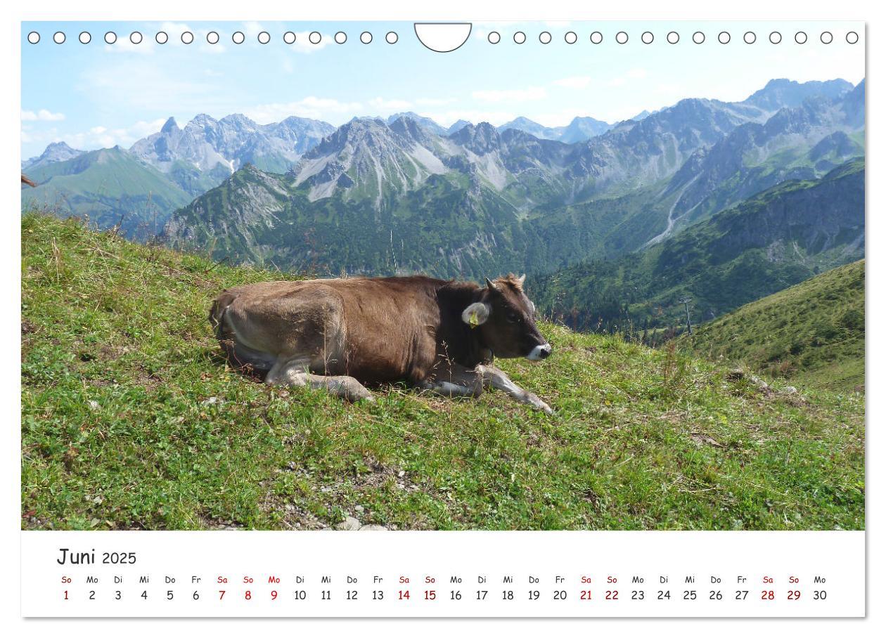 Bild: 9783383859779 | Kleinwalsertal - Das kleine Glück vor unserer Tür (Wandkalender...