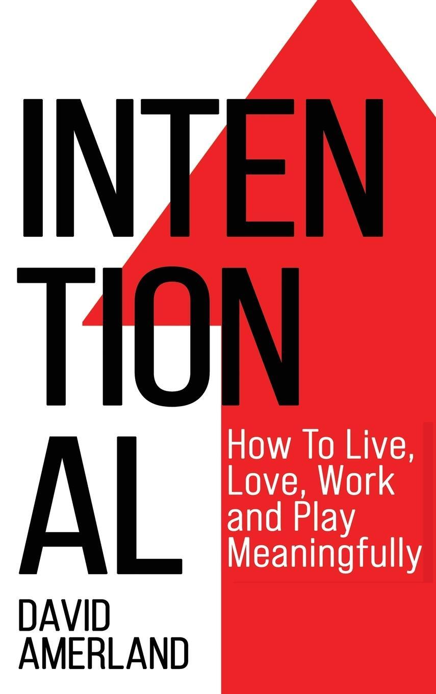 Cover: 9781844811762 | Intentional | How To Live, Love, Work And Play Meaningfully | Amerland