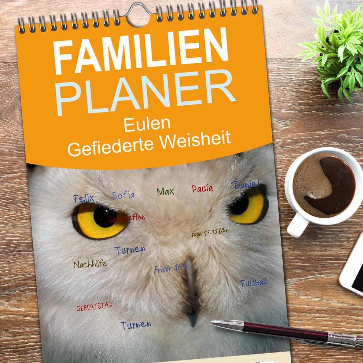 Bild: 9783457116791 | Familienplaner 2025 - Eulen. Gefiederte Weisheit mit 5 Spalten...