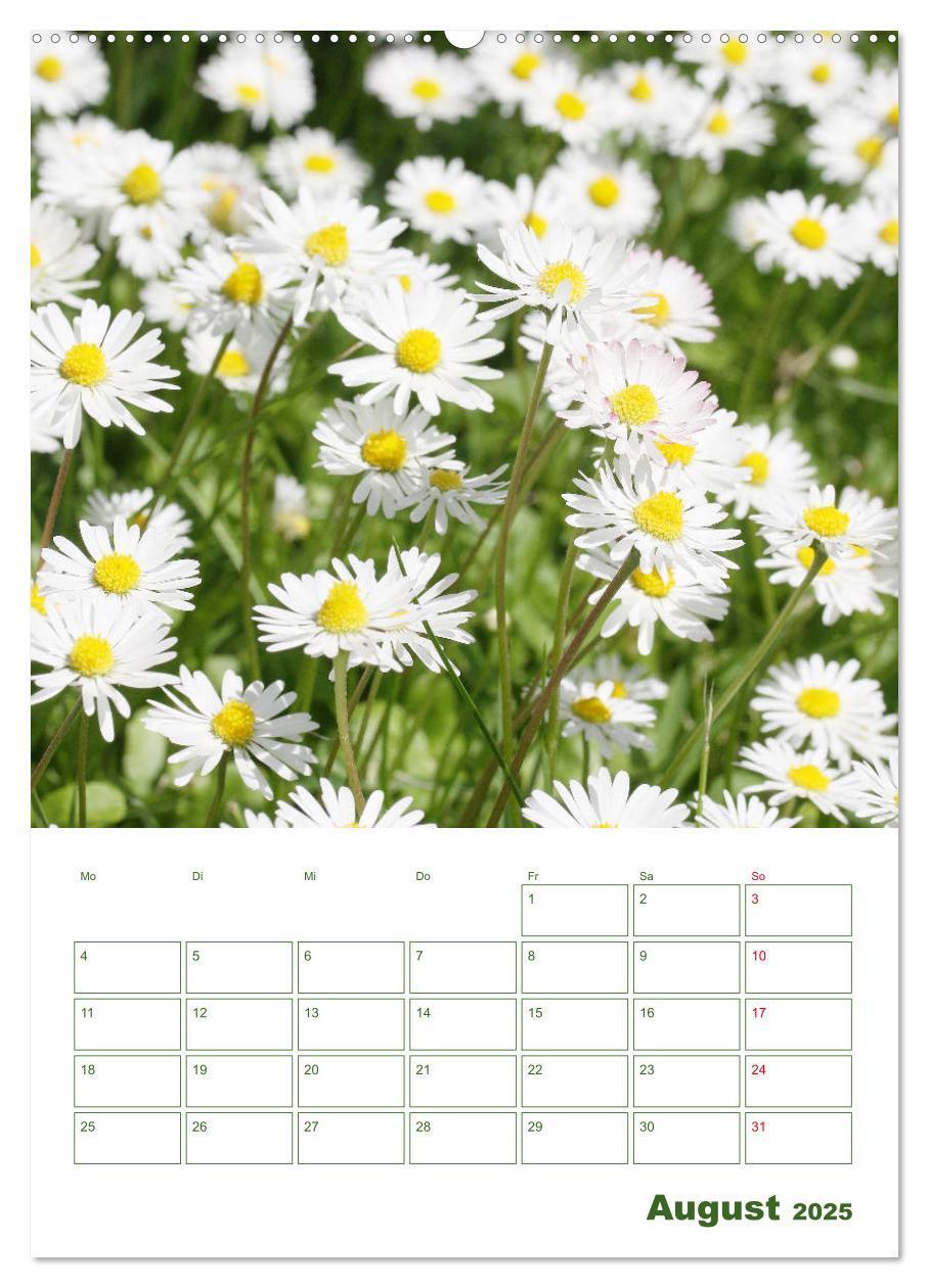 Bild: 9783435965038 | Weiße Blüten im Grünen (Wandkalender 2025 DIN A2 hoch), CALVENDO...