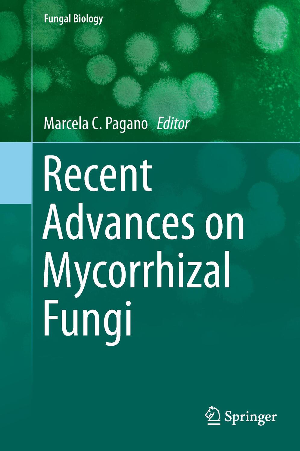 Cover: 9783319243535 | Recent Advances on Mycorrhizal Fungi | Marcela C. Pagano | Buch | VI