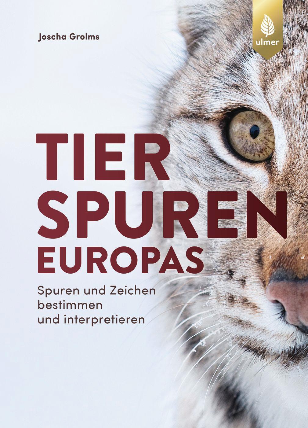 Cover: 9783818600907 | Tierspuren Europas | Joscha Grolms | Buch | Deutsch | 2021