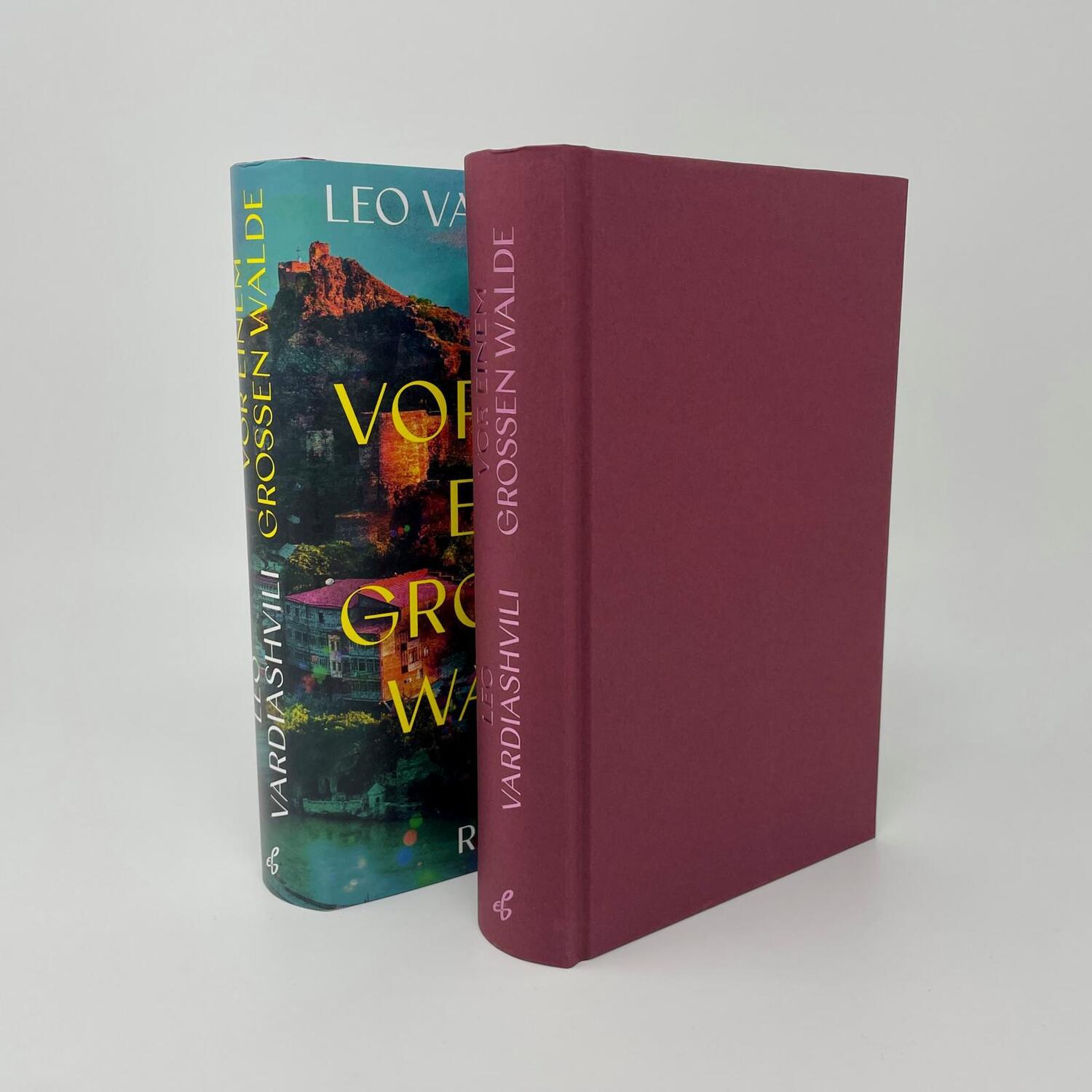 Bild: 9783546100946 | Vor einem großen Walde | Leo Vardiashvili | Buch | 464 S. | Deutsch