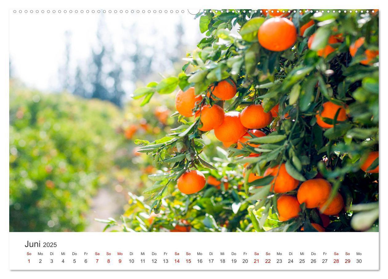 Bild: 9783383927003 | Die Sonneninsel Zypern (Wandkalender 2025 DIN A2 quer), CALVENDO...