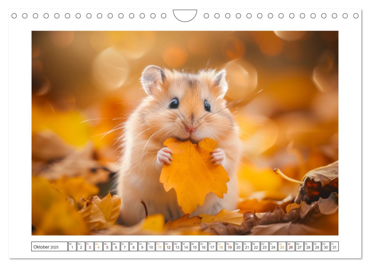 Bild: 9783435069958 | Lustige Hamster (Wandkalender 2025 DIN A4 quer), CALVENDO...