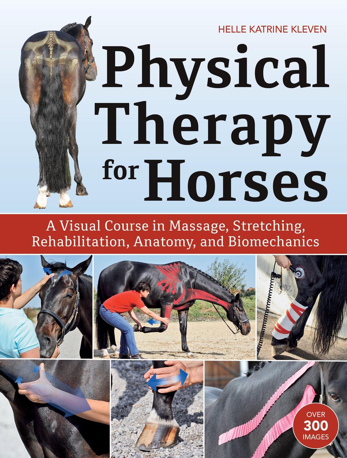 Cover: 9781570769382 | Physical Therapy for Horses: A Visual Course in Massage,...