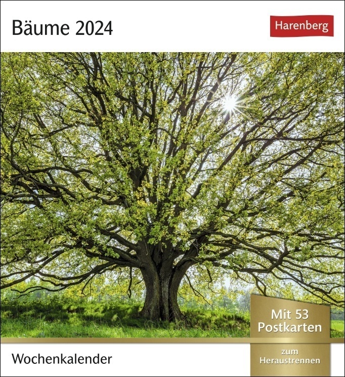 Cover: 9783840031144 | Bäume Postkartenkalender 2024. Fotokalender mit 53 Postkarten zum...
