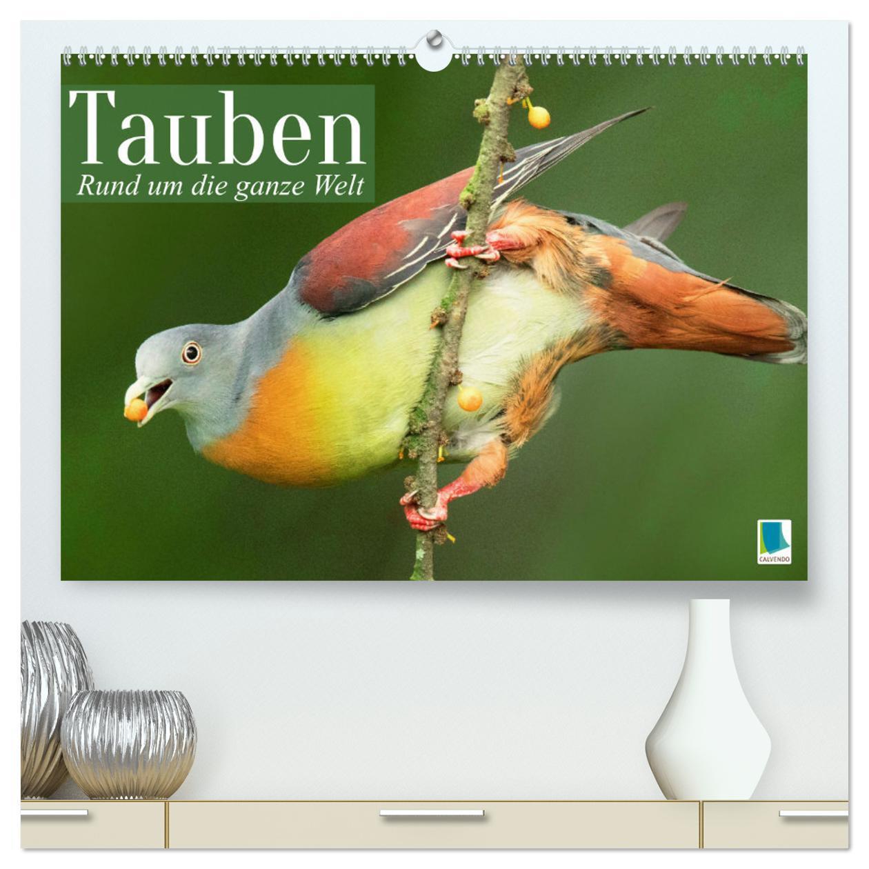 Cover: 9783383346675 | Tauben rund um die ganze Welt (hochwertiger Premium Wandkalender...