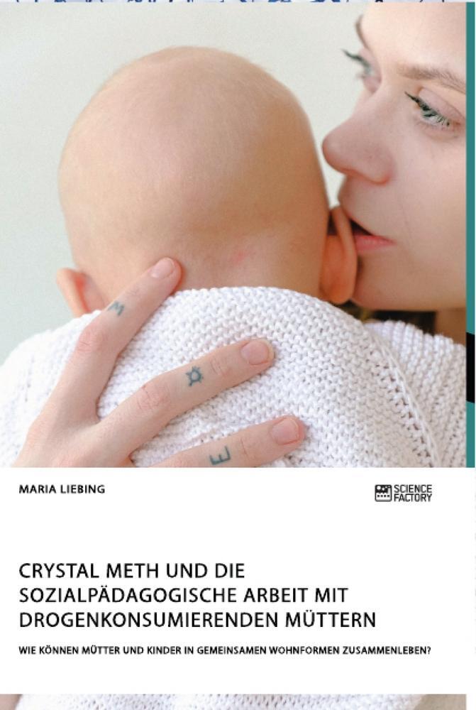 Cover: 9783964871527 | Crystal Meth und die sozialpädagogische Arbeit mit...