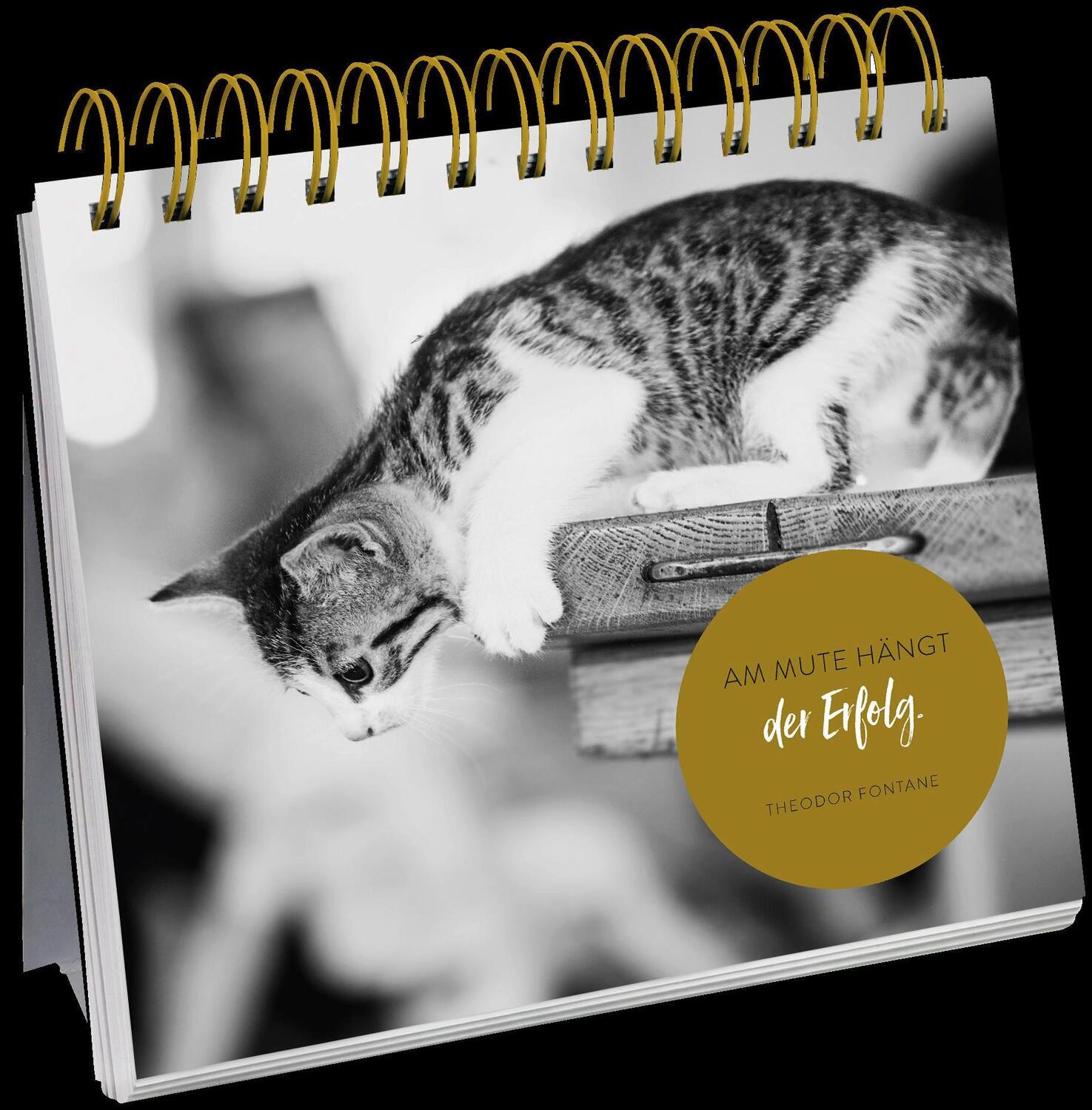Bild: 9783848520589 | Inspirierende Worte für Katzenfreunde | Groh Redaktionsteam | Buch