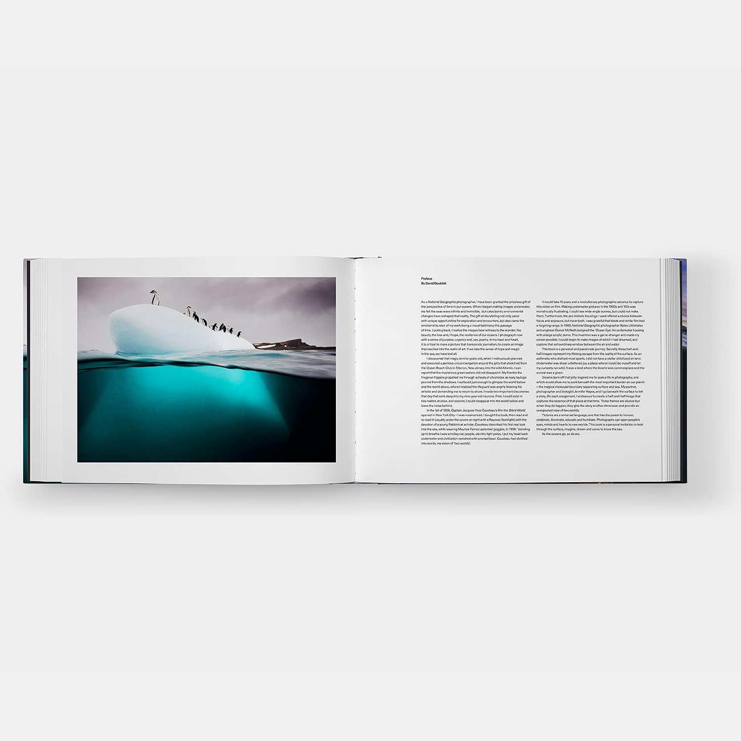 Bild: 9781838663186 | Two Worlds | Above and Below the Sea | David Doubilet | Buch | 128 S.