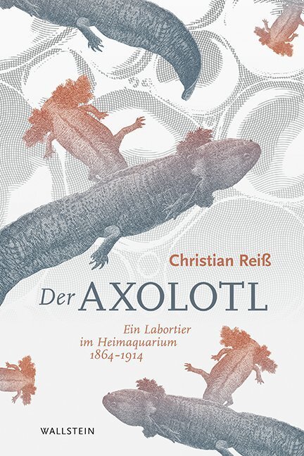 Cover: 9783835333062 | Der Axolotl | Ein Labortier im Heimaquarium 1864 -1914 | Reiß | Buch