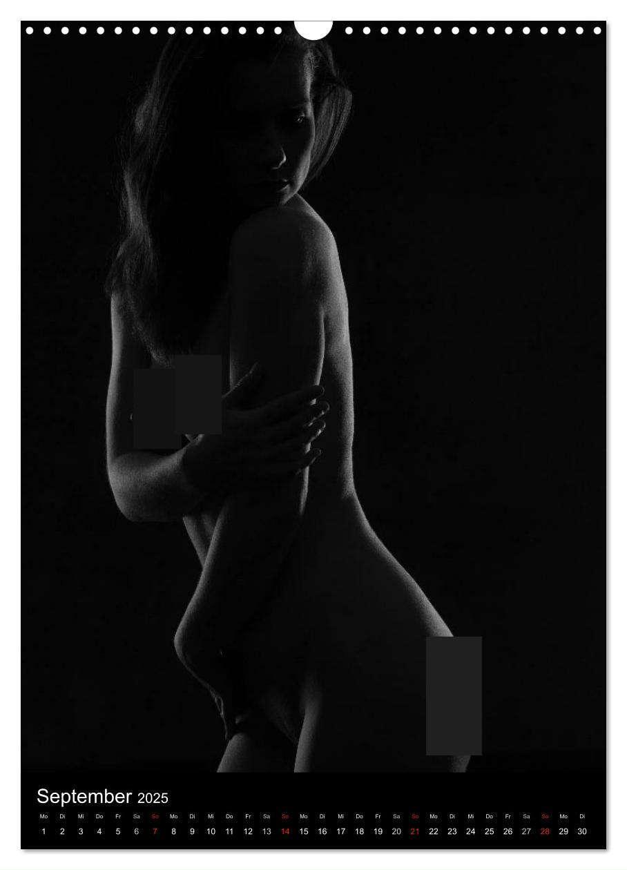 Bild: 9783457080955 | Erotische Silhouetten / CH-Version (Wandkalender 2025 DIN A3 hoch),...