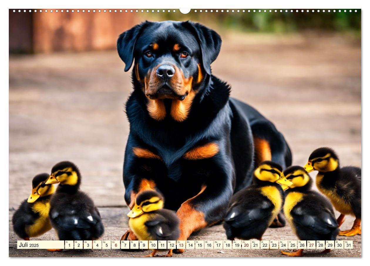 Bild: 9783457128886 | Rottweiler - die Beschützer (Wandkalender 2025 DIN A2 quer),...