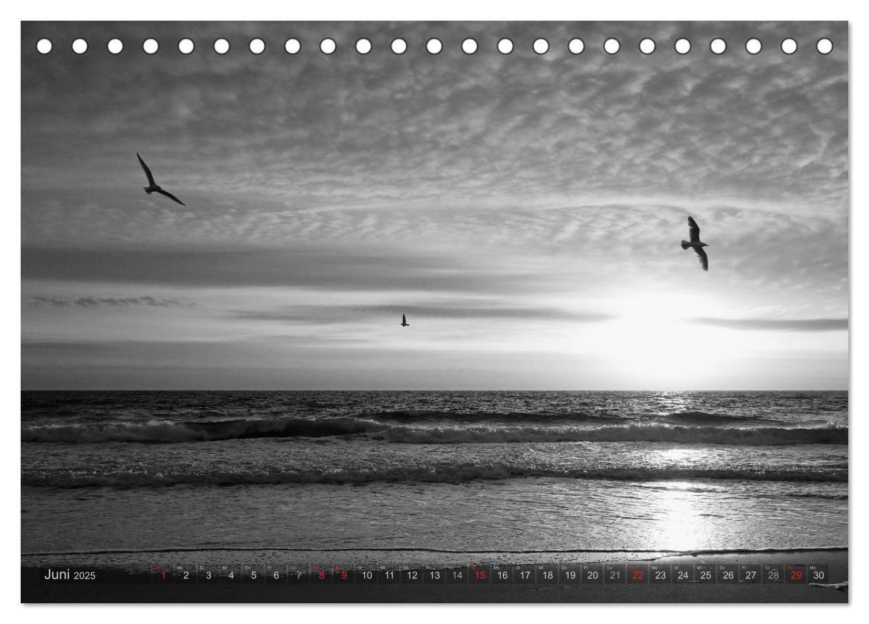 Bild: 9783435513482 | 54°54'57"N 8°19'51"E SYLT (Tischkalender 2025 DIN A5 quer),...