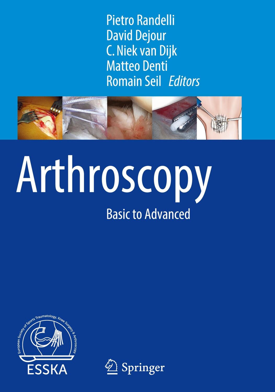 Cover: 9783662493748 | Arthroscopy | Basic to Advanced | David Dejour (u. a.) | Buch | xiv