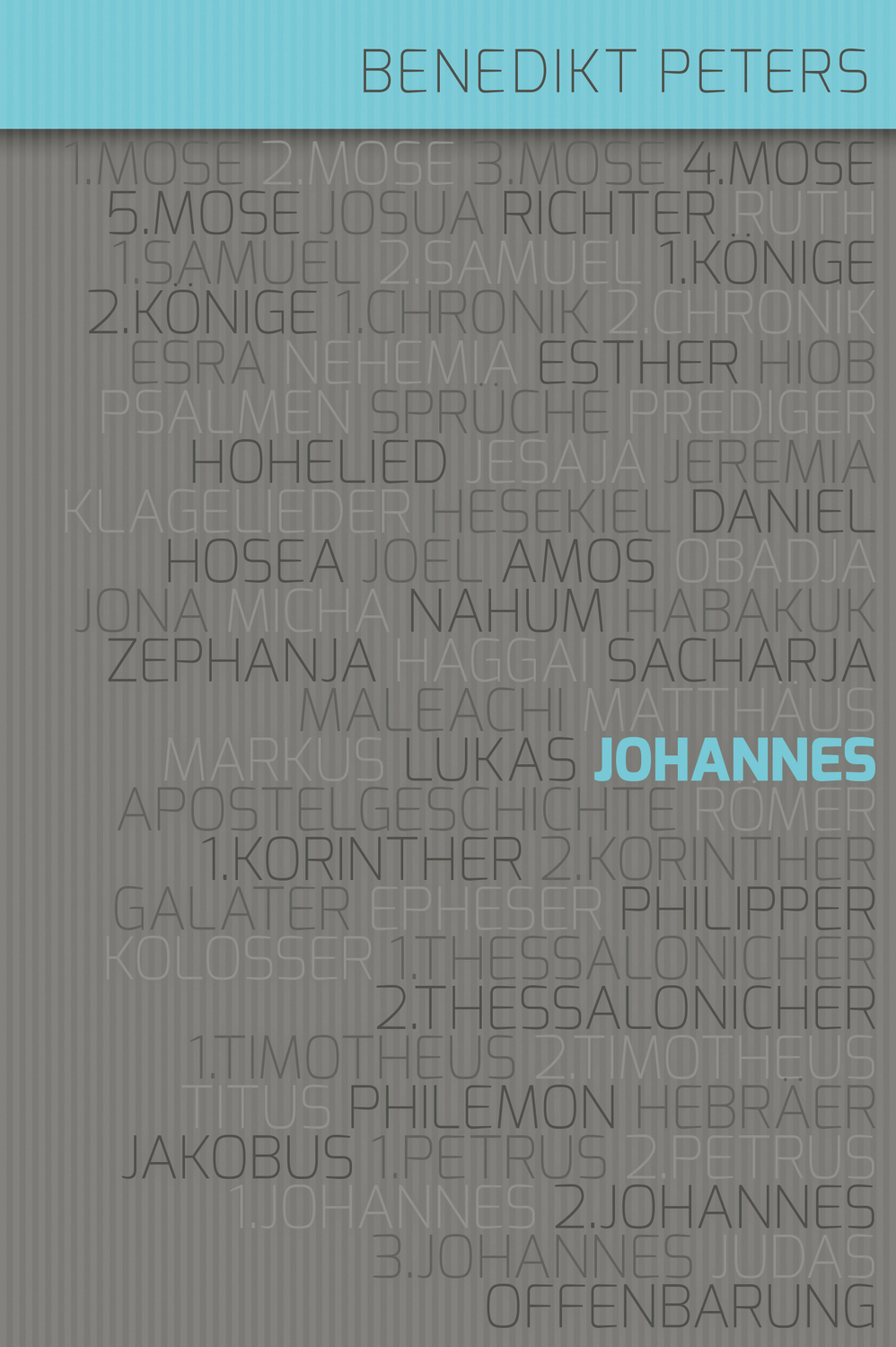 Cover: 9783866993365 | Kommentar zum Johannes-Evangelium | Christliche Literaturverbreitung