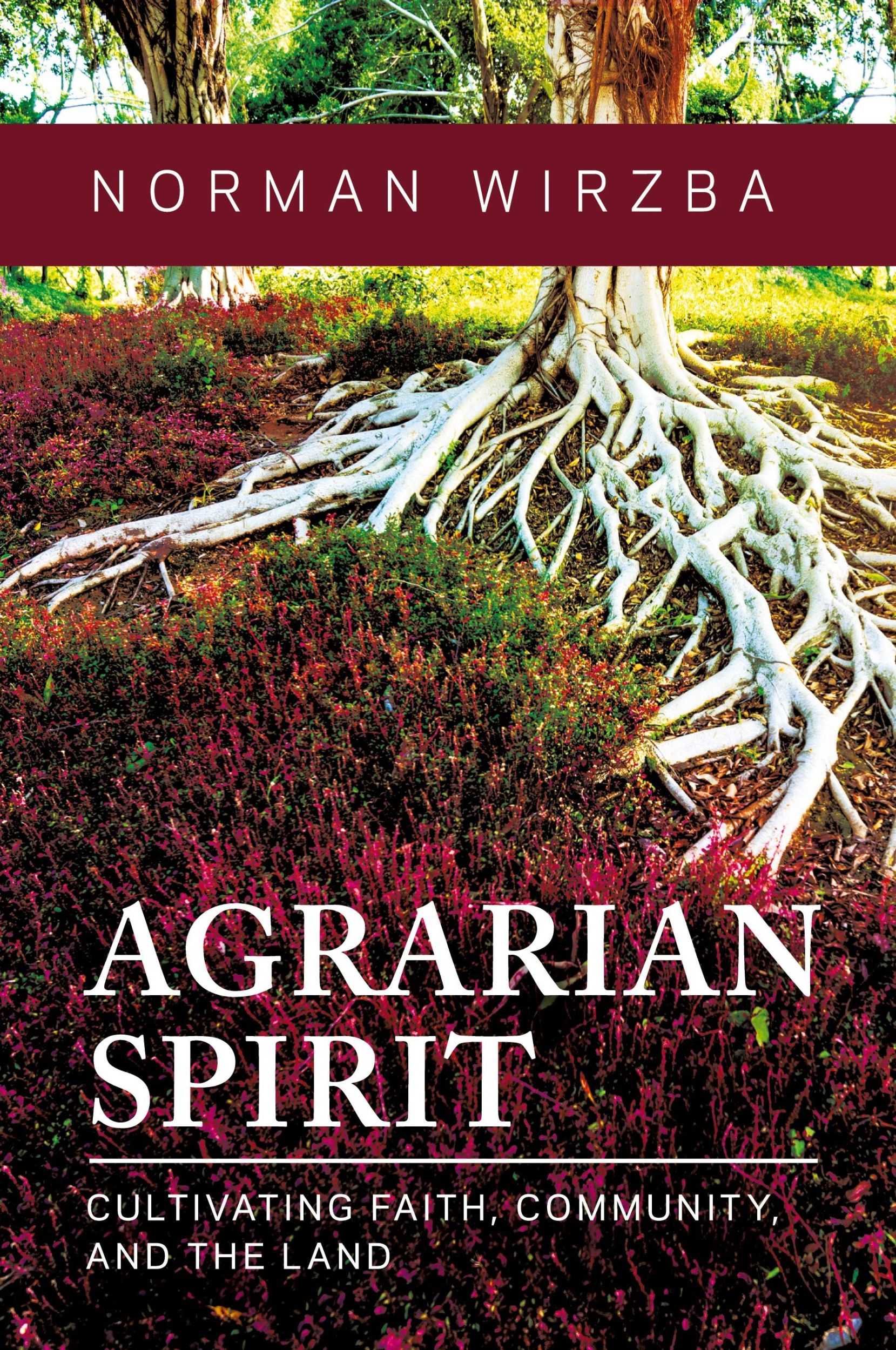 Cover: 9780268203108 | Agrarian Spirit | Cultivating Faith, Community, and the Land | Wirzba