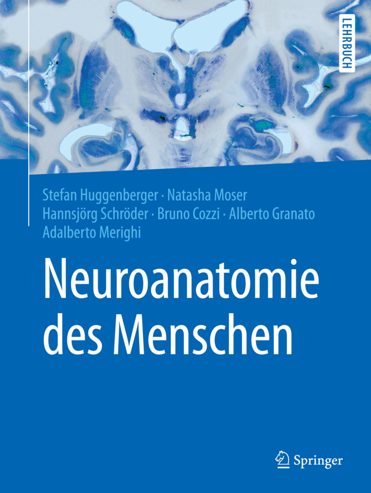 Cover: 9783662564608 | Neuroanatomie des Menschen | Stefan Huggenberger (u. a.) | Taschenbuch
