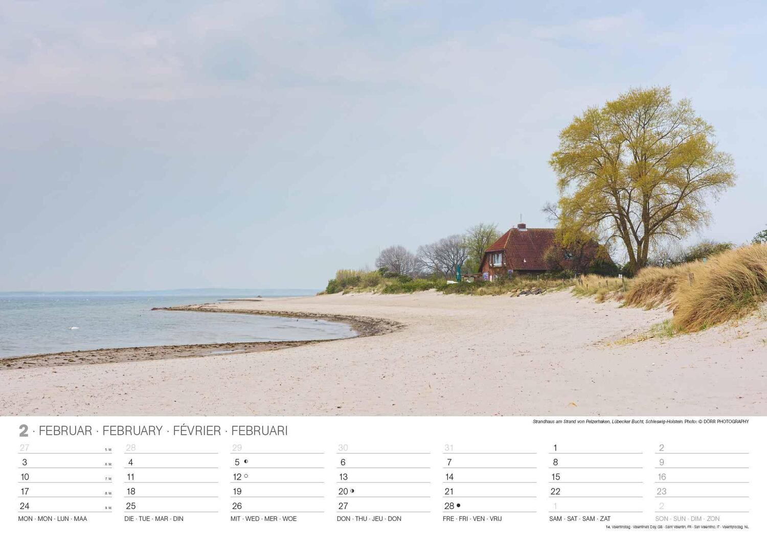 Bild: 4002725994264 | Malerische Ostseeküste 2025 - Wand-Kalender - 42x29,7 - Meer | Neumann