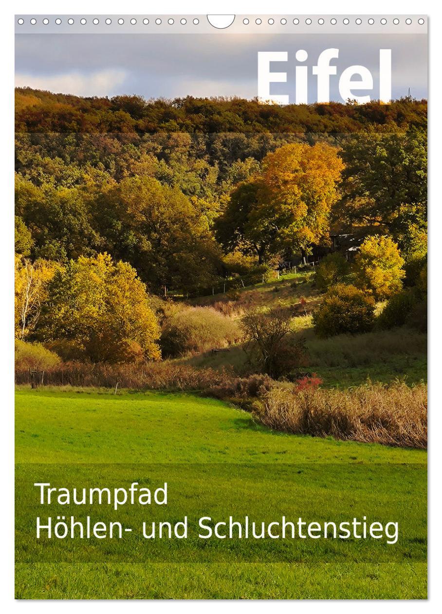 Cover: 9783457239612 | Eifel Traumpfad Höhlen- und Schluchtenstieg (Wandkalender 2025 DIN...