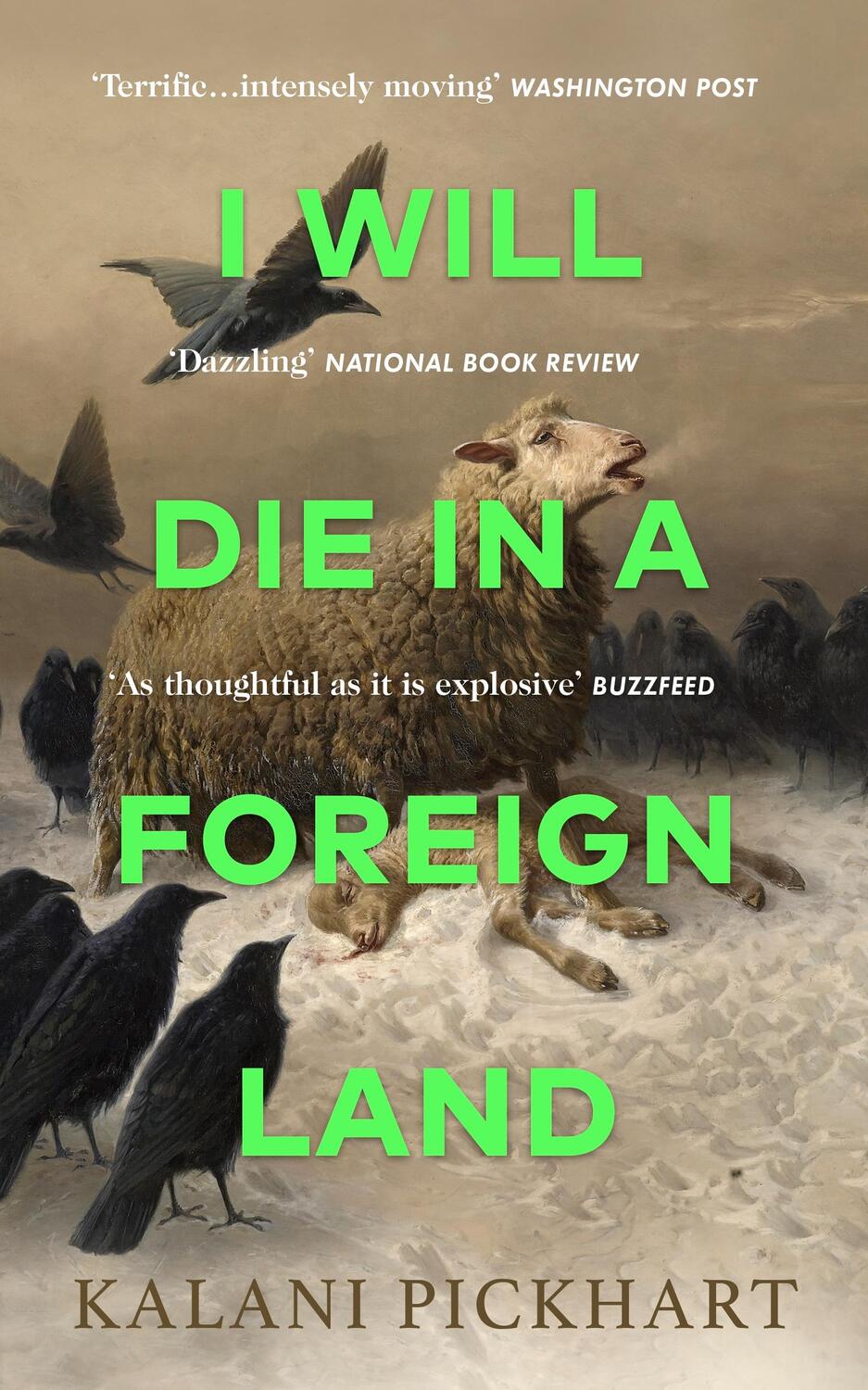 Cover: 9780857529305 | I Will Die in a Foreign Land | Kalani Pickhart | Buch | Englisch