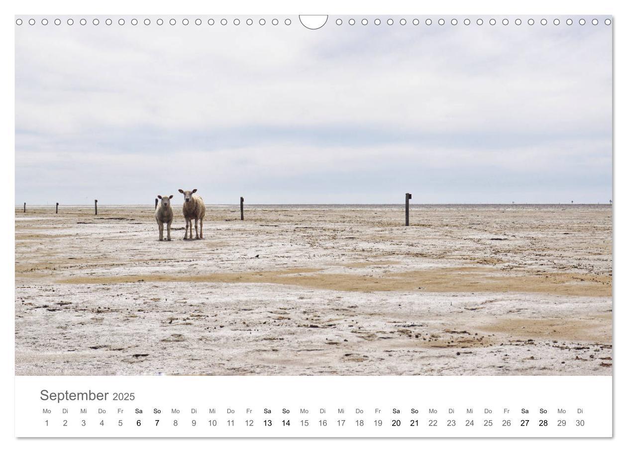 Bild: 9783435219629 | Nordfriesland (Wandkalender 2025 DIN A3 quer), CALVENDO Monatskalender