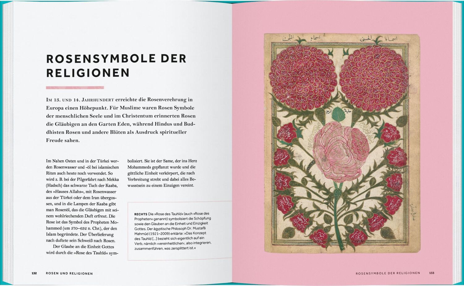 Bild: 9783836921879 | Rosen | Die Geschichte der Rose | Peter E. Kukielski (u. a.) | Buch