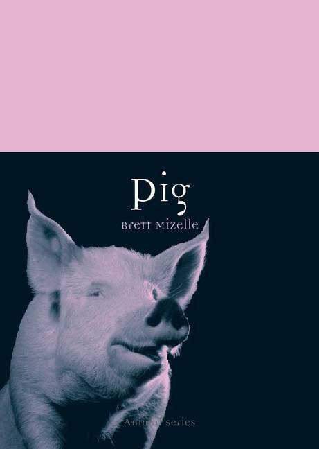 Cover: 9781861898050 | Pig | Brett Mizelle | Taschenbuch | Animal Series | Englisch | 2011