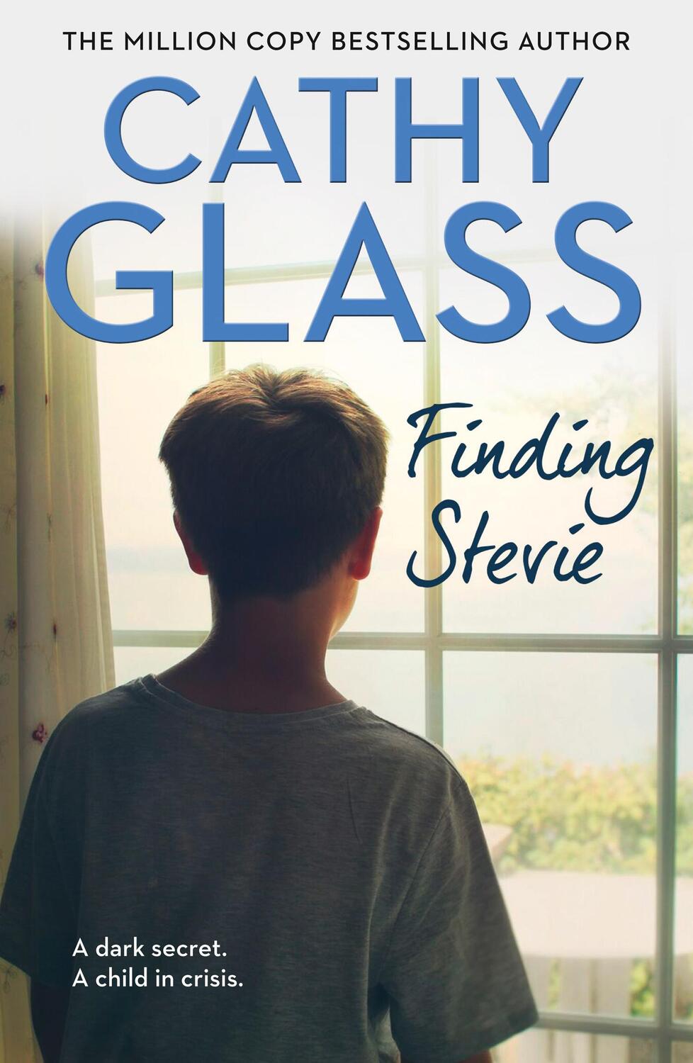 Cover: 9780008324292 | Finding Stevie | A Dark Secret. a Child in Crisis. | Cathy Glass