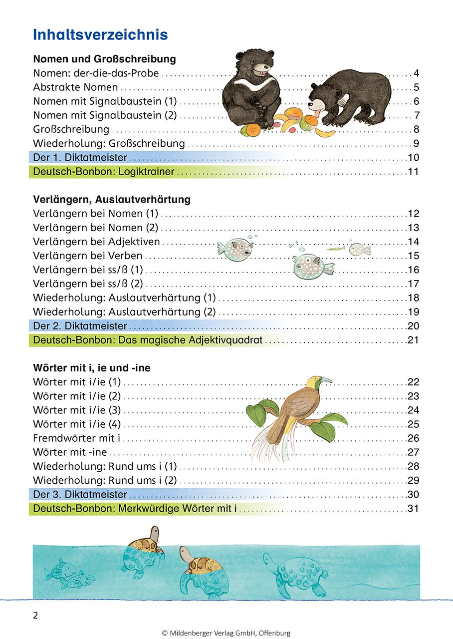 Bild: 9783619341719 | Das Übungsheft Rechtschreiben 3 | Stefanie Drecktrah | Broschüre