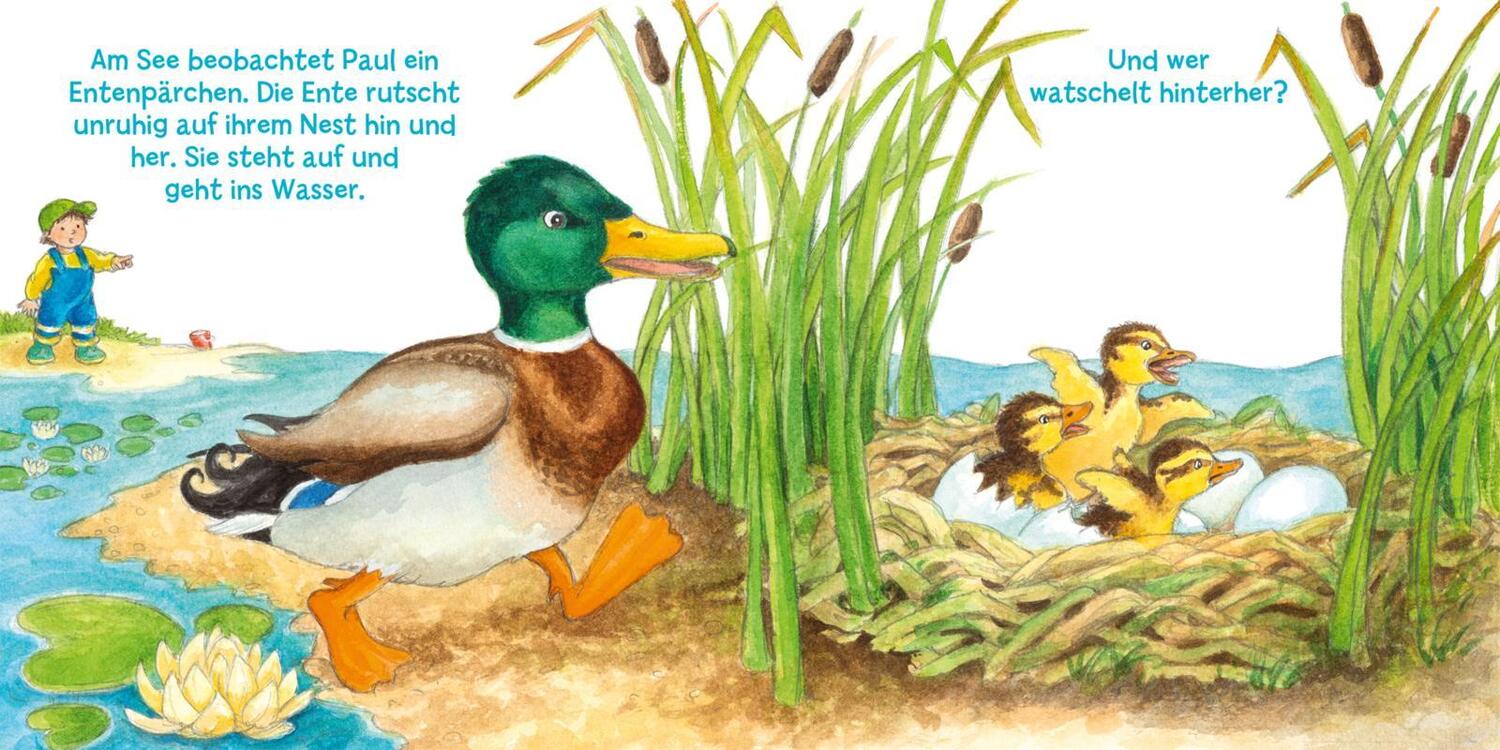 Bild: 9783551254733 | Mein erstes Hör mal (Soundbuch ab 1 Jahr): Die Tierkinder | Trapp
