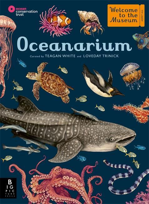 Cover: 9781787416314 | Oceanarium | Loveday Trinick | Buch | Welcome to the Museum | 112 S.