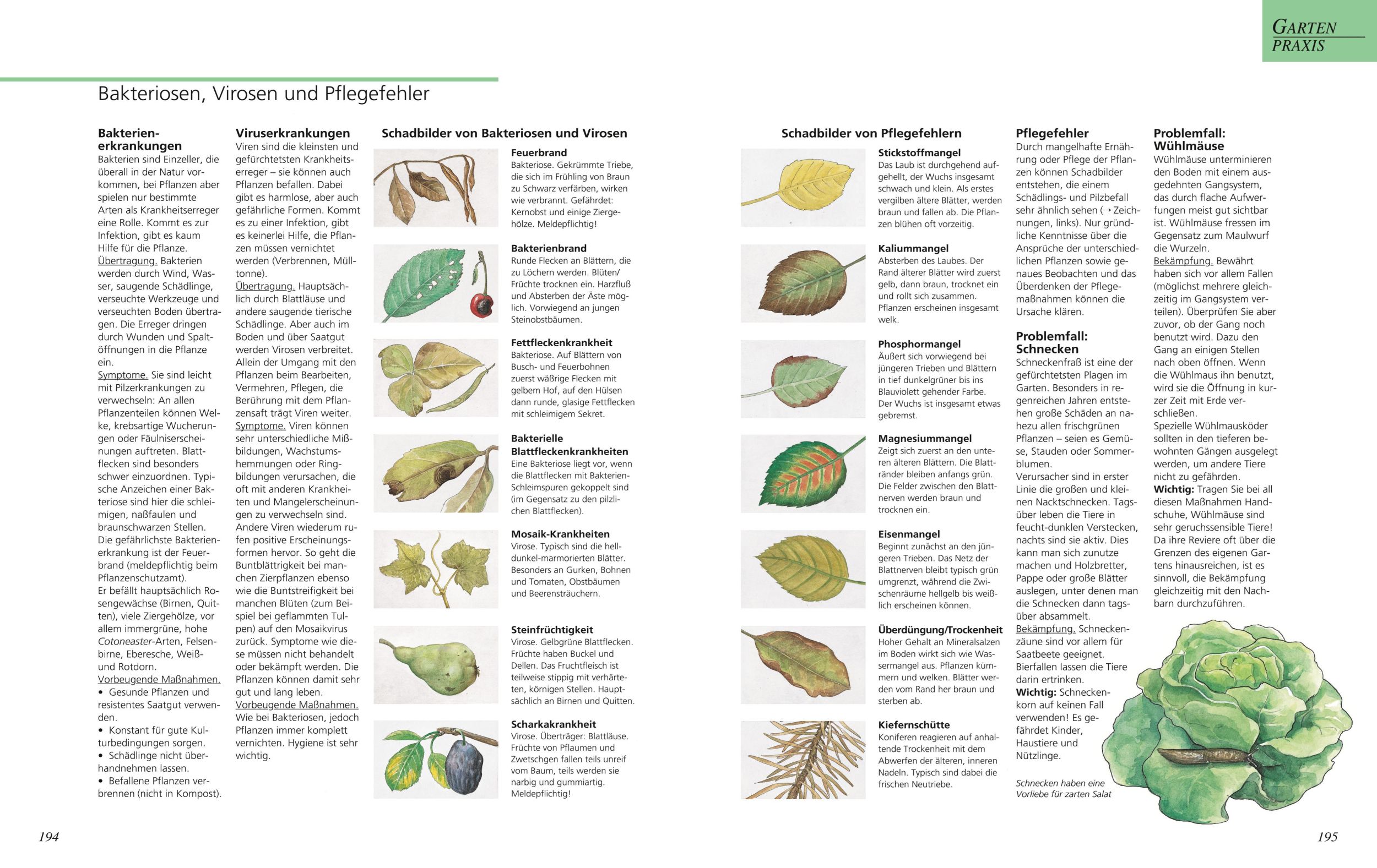 Bild: 9783833853920 | Das große GU Gartenbuch | Das Standardwerk für jeden Gartenliebhaber