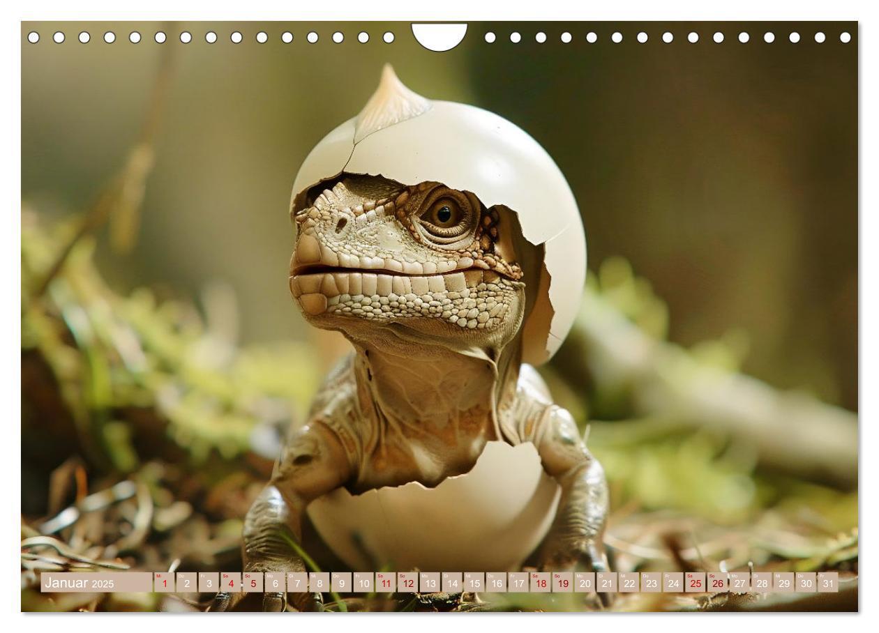 Bild: 9783383797330 | Dino-Babys (Wandkalender 2025 DIN A4 quer), CALVENDO Monatskalender