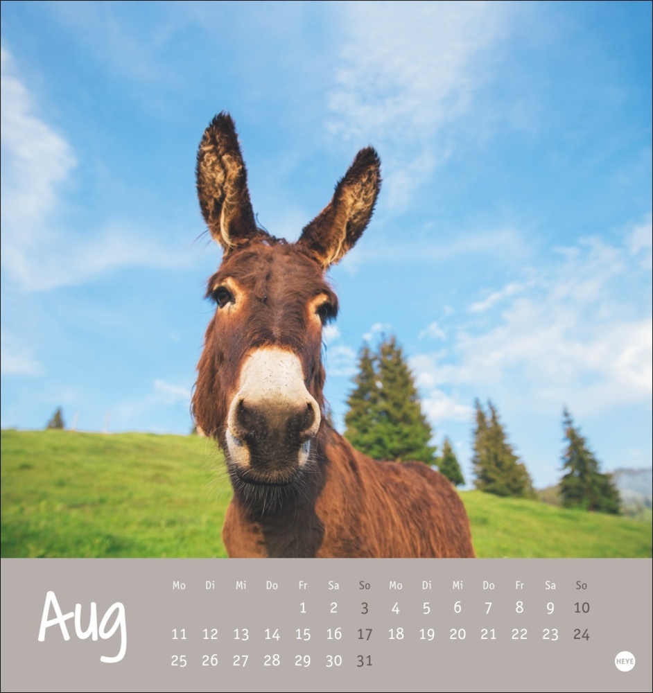 Bild: 9783756407149 | Esel Postkartenkalender 2025 - Von wegen sturer Esel | Kalender | 2025