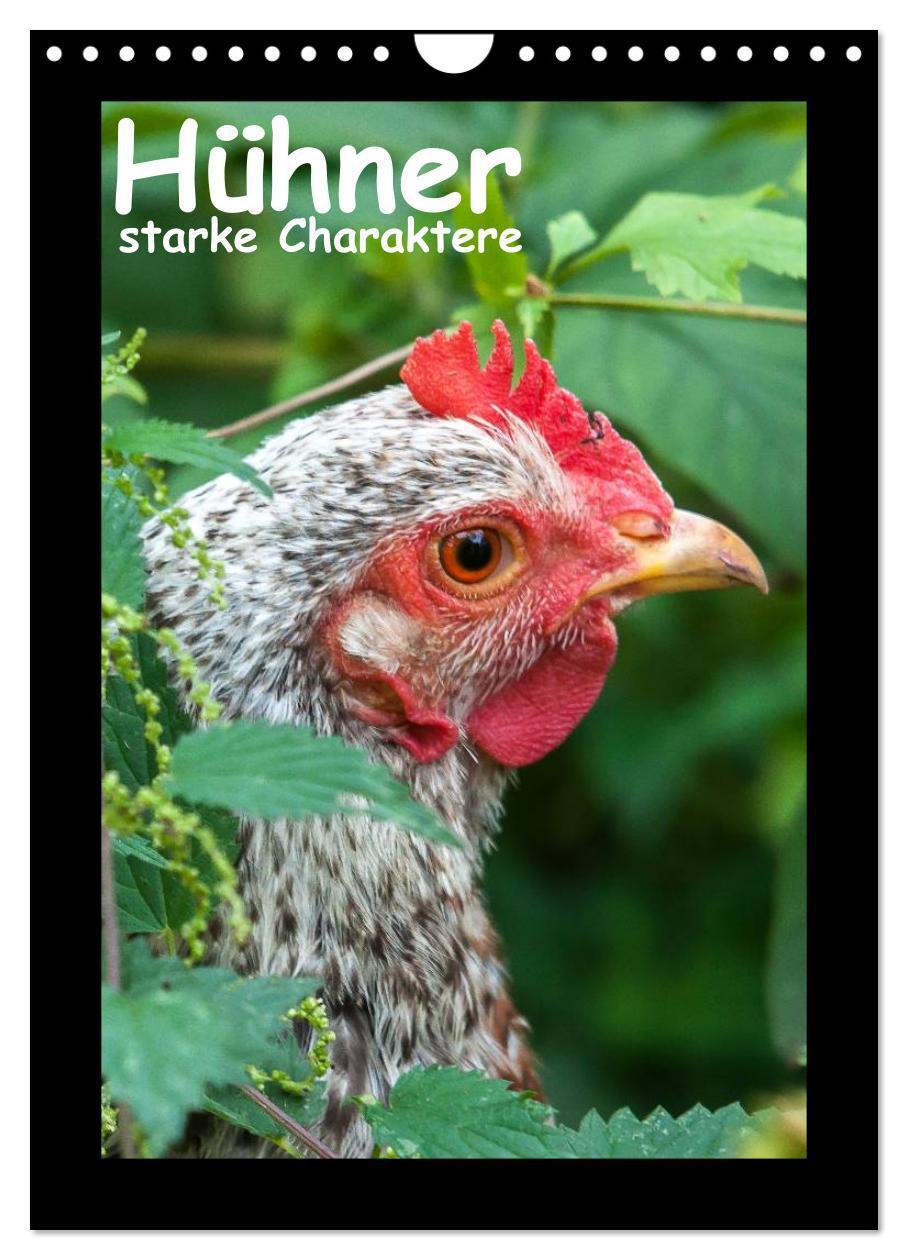 Cover: 9783383349850 | Hühner - starke Charaktere (Wandkalender 2024 DIN A4 hoch),...