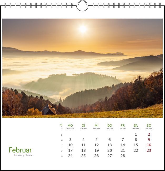 Bild: 9783861924142 | Freiburg 2025 | Postkarten-Tischkalender | Clemens Emmler | Kalender