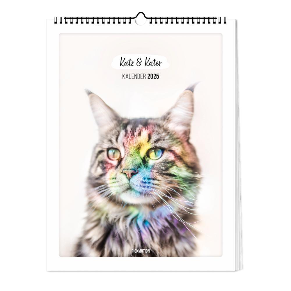 Cover: 4251781179232 | Wandkalender 2025 - Katz &amp; Kater | Pickmotion | Kalender | Deutsch