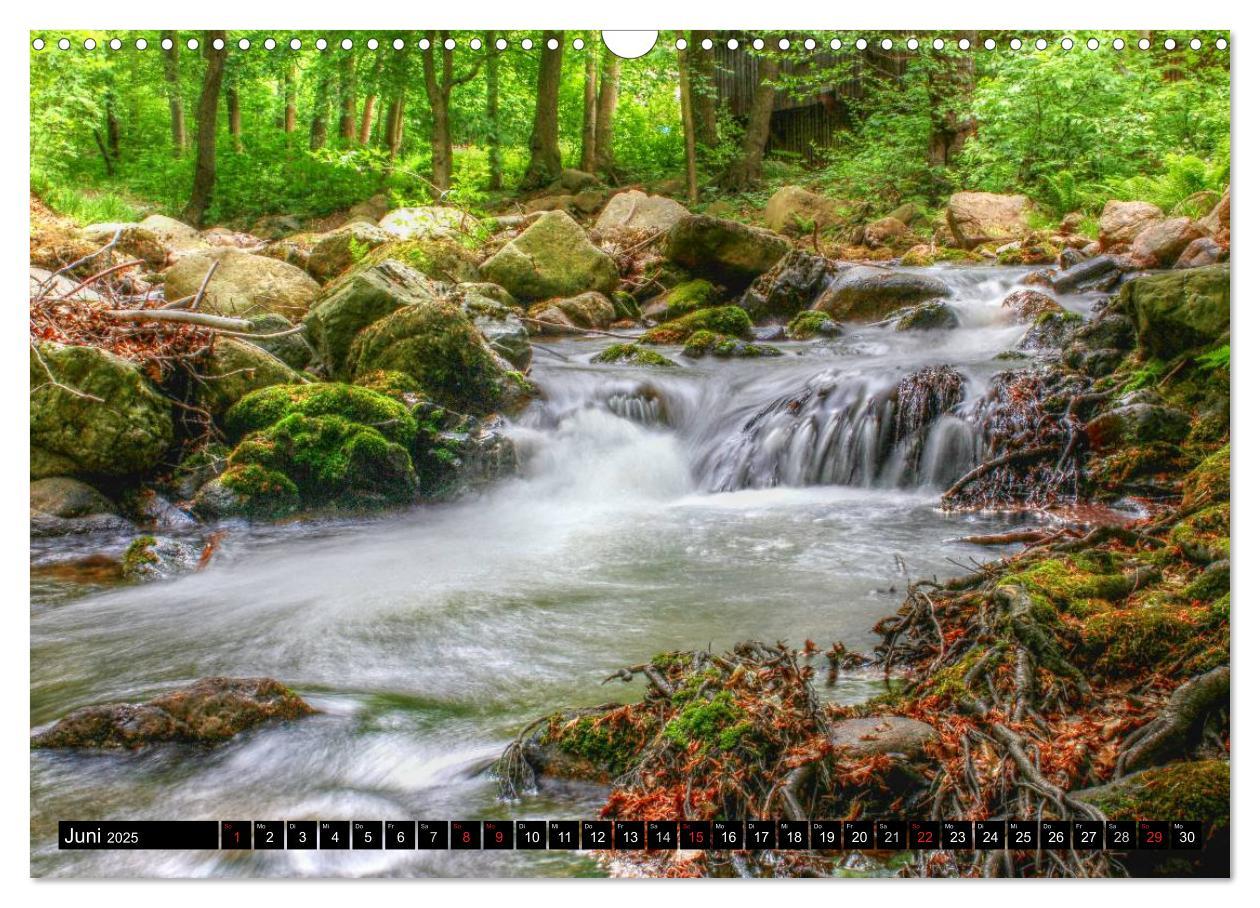 Bild: 9783435581962 | Verzauberter Harz (Wandkalender 2025 DIN A3 quer), CALVENDO...