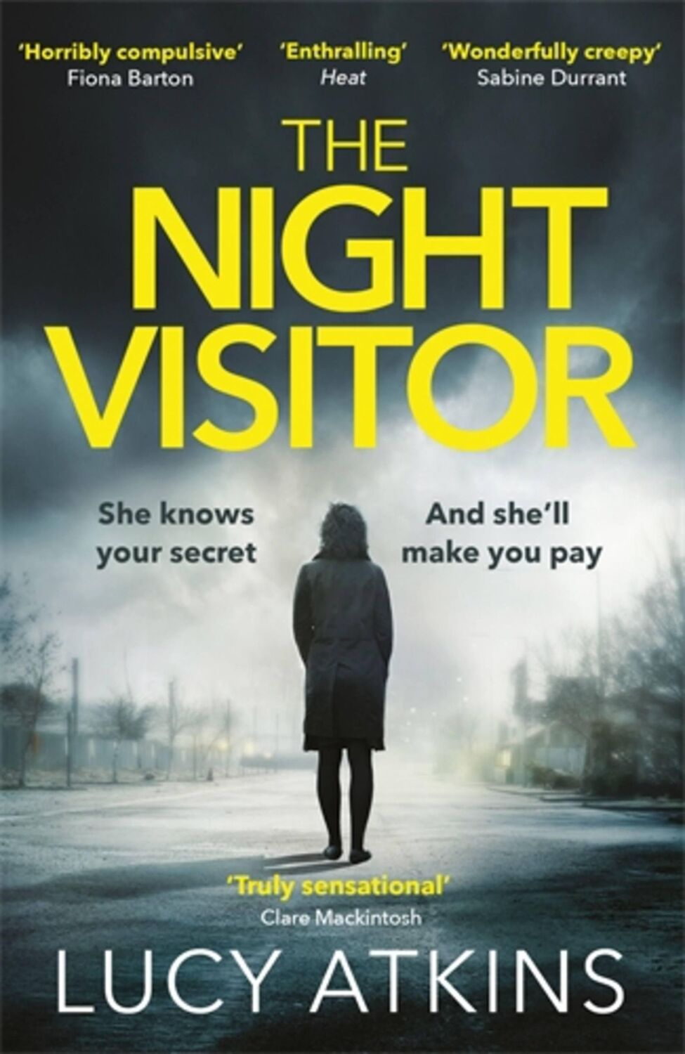 Cover: 9781784293246 | The Night Visitor | Lucy Atkins | Taschenbuch | Englisch | 2018