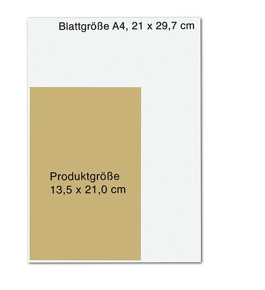 Bild: 9783426879436 | Beschützt von meinem Krafttier | Regula Meyer | Taschenbuch | 224 S.