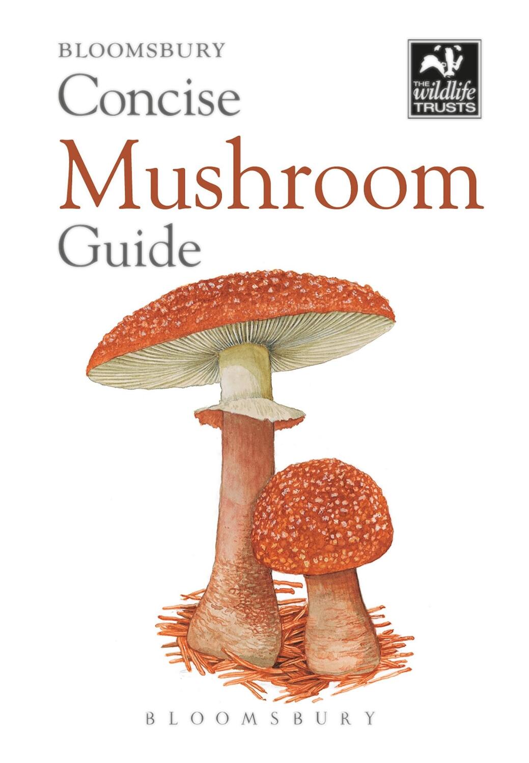 Cover: 9781472963789 | Concise Mushroom Guide | Bloomsbury | Taschenbuch | Concise Guides