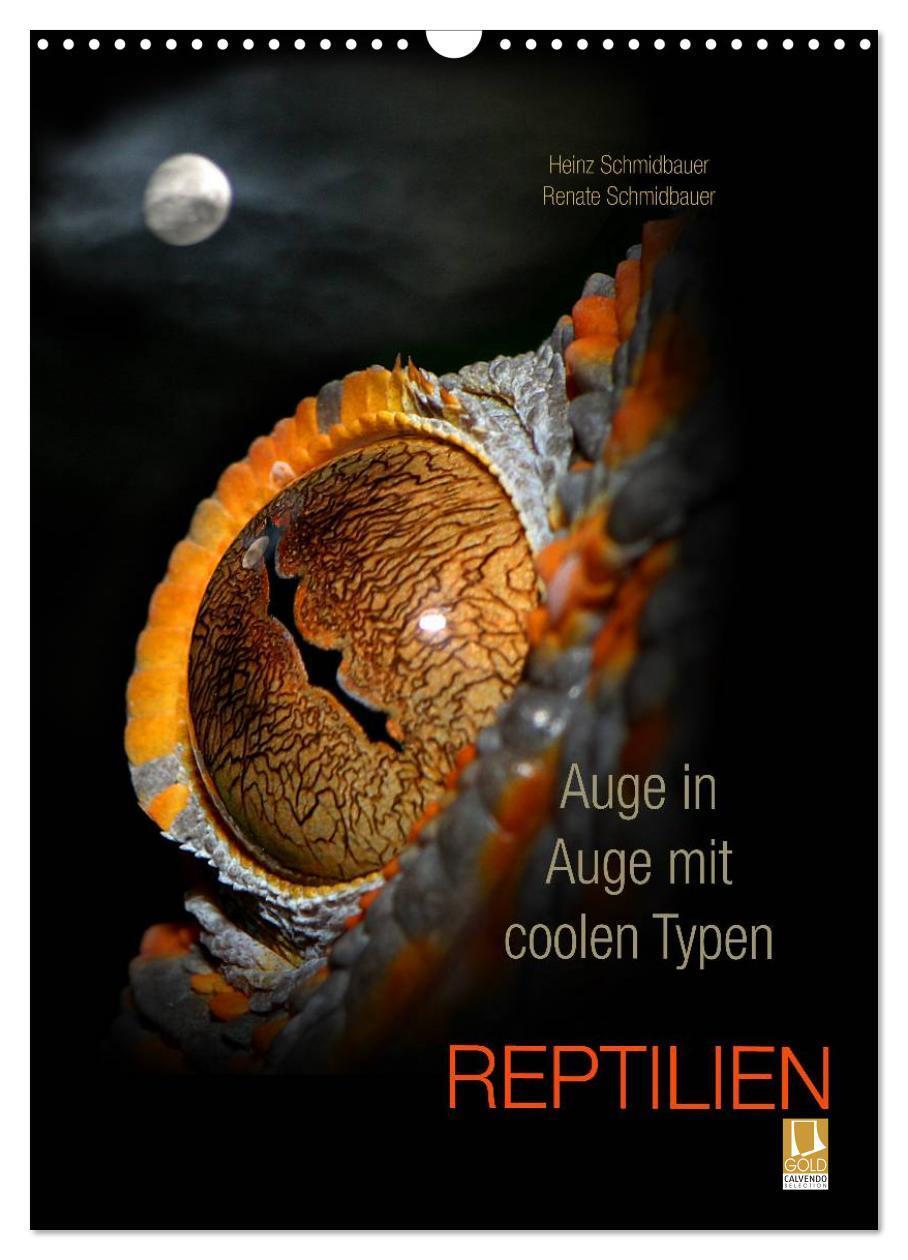 Cover: 9783457015674 | Auge in Auge mit coolen Typen - REPTILIEN (Wandkalender 2025 DIN A3...