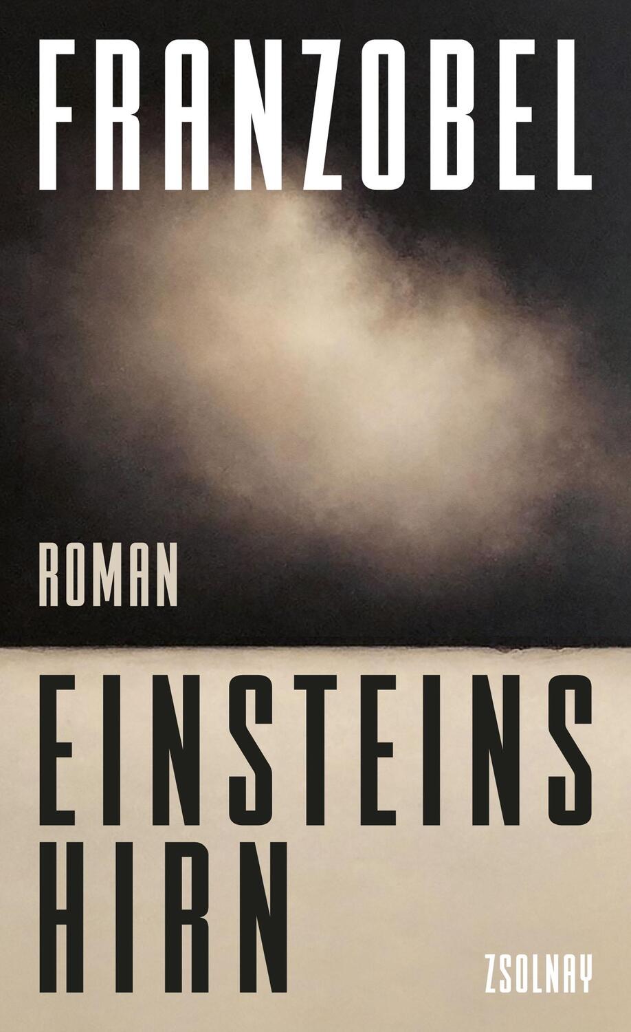 Cover: 9783552073340 | Einsteins Hirn | Roman | Franzobel | Buch | Lesebändchen | 544 S.
