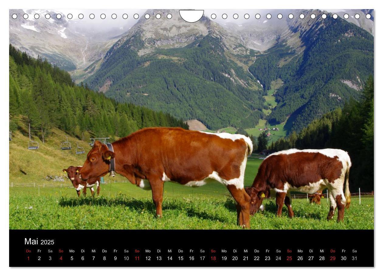 Bild: 9783435782789 | Südtirol 2025 (Wandkalender 2025 DIN A4 quer), CALVENDO Monatskalender