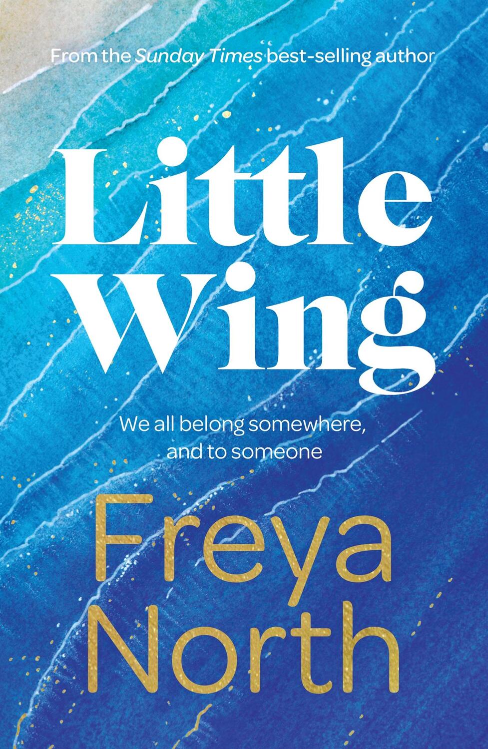 Cover: 9781787397606 | Little Wing | A beautifully written, emotional and heartwarming story