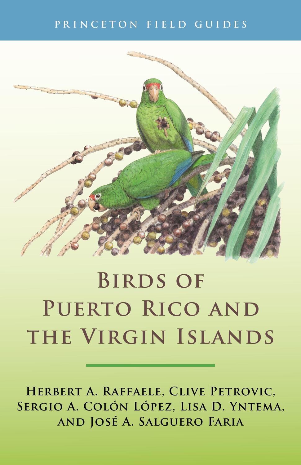 Cover: 9780691211671 | Birds of Puerto Rico and the Virgin Islands | Clive Petrovic (u. a.)